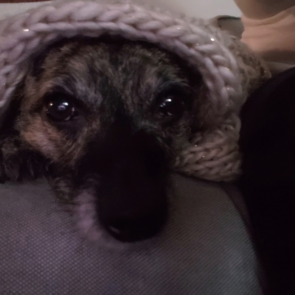 Meet your Posher, Hilary